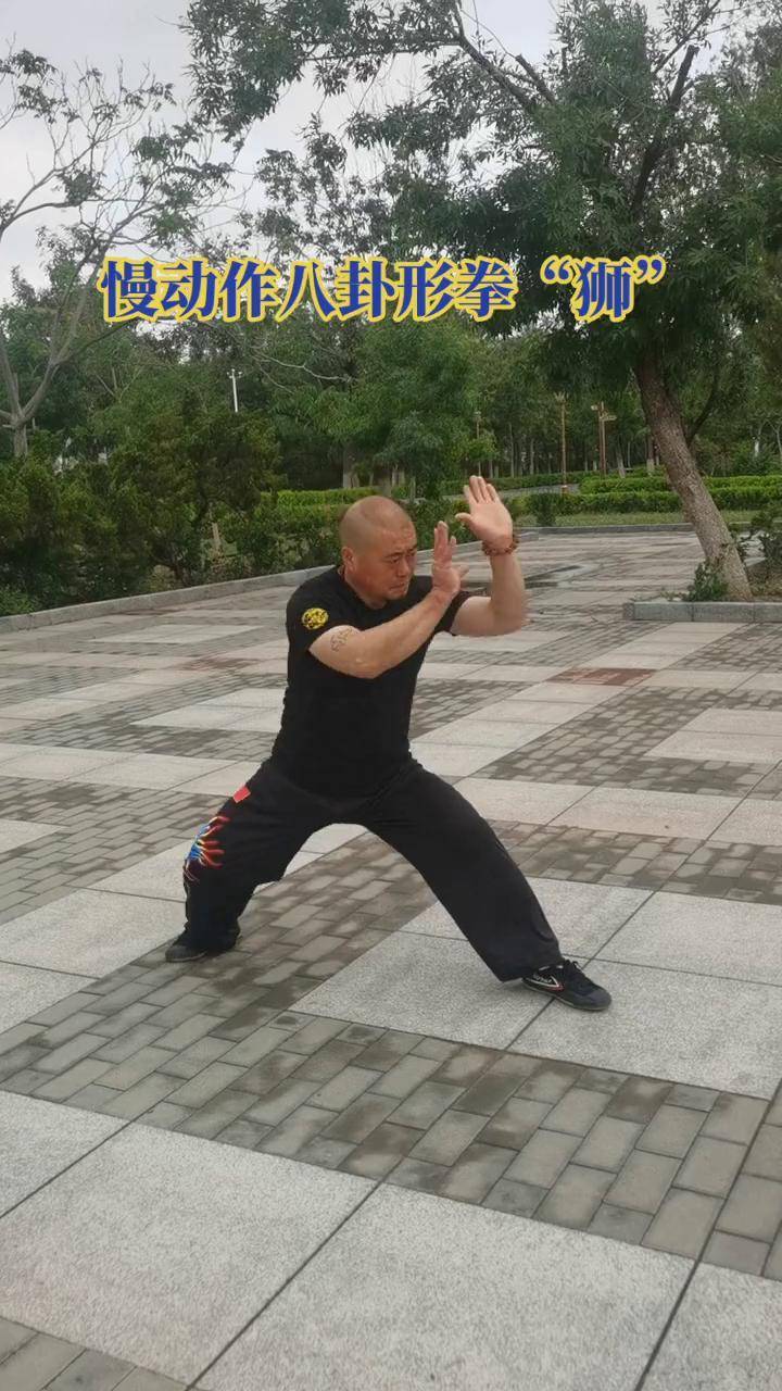 关于传统武术表演秀，传递文化正能量的信息