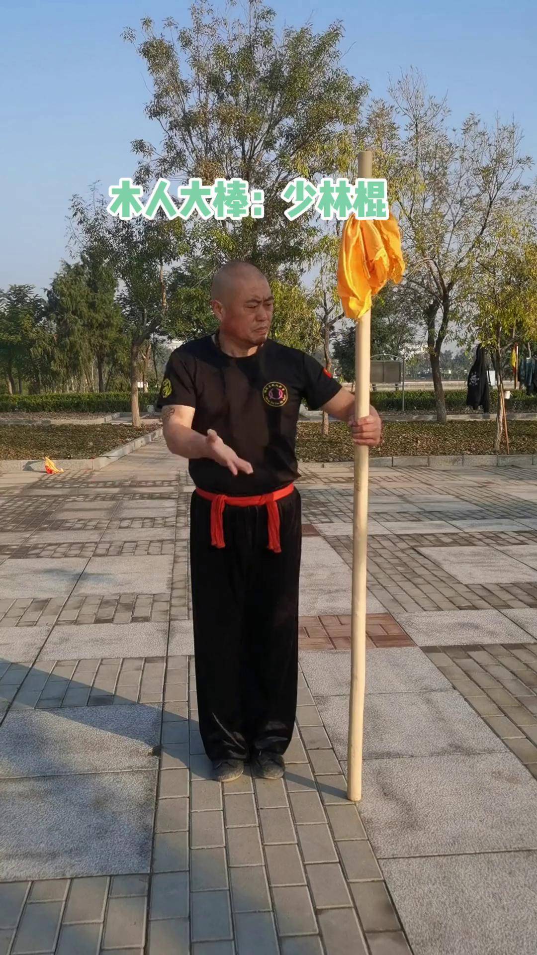 关于传统武术表演秀，传递文化正能量的信息
