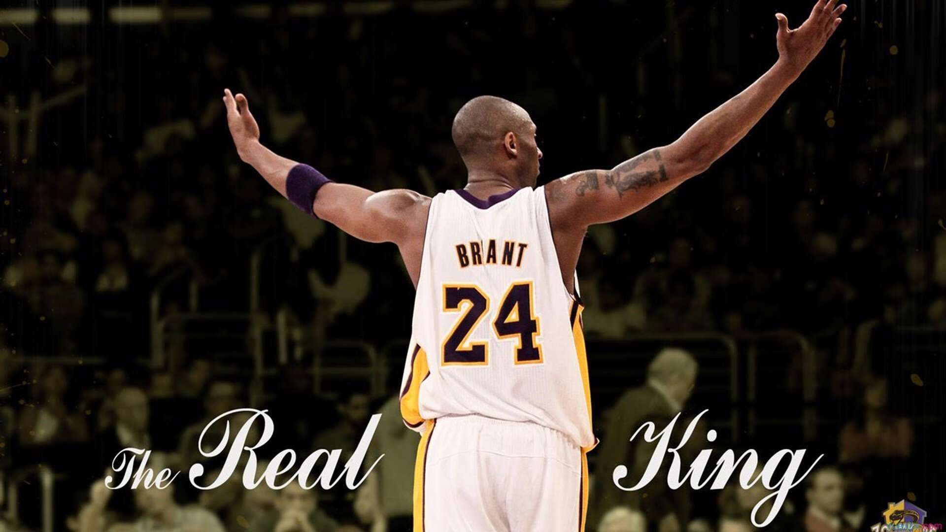 霍特·巴雷特:全黑队背后核心,凭借远距离传球打破防线,德国霍巴特