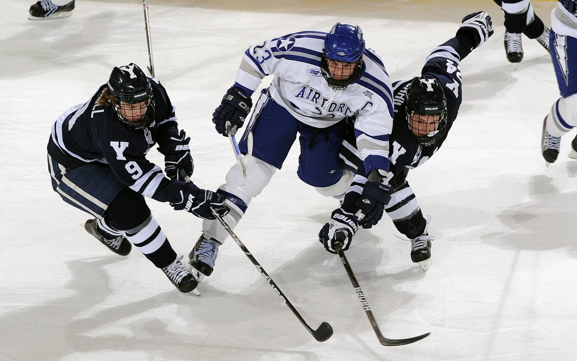 未来智能场馆：虚拟互动和“云观赛”全面升级！，未来云智能科技有限公司